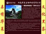 安化黑茶湖南华莱