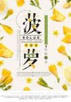 菠萝