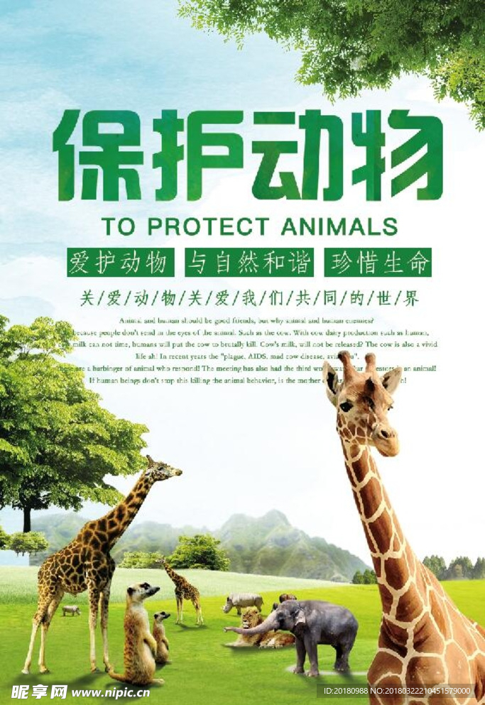 保护动物