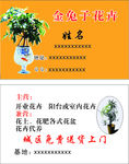 花卉名片
