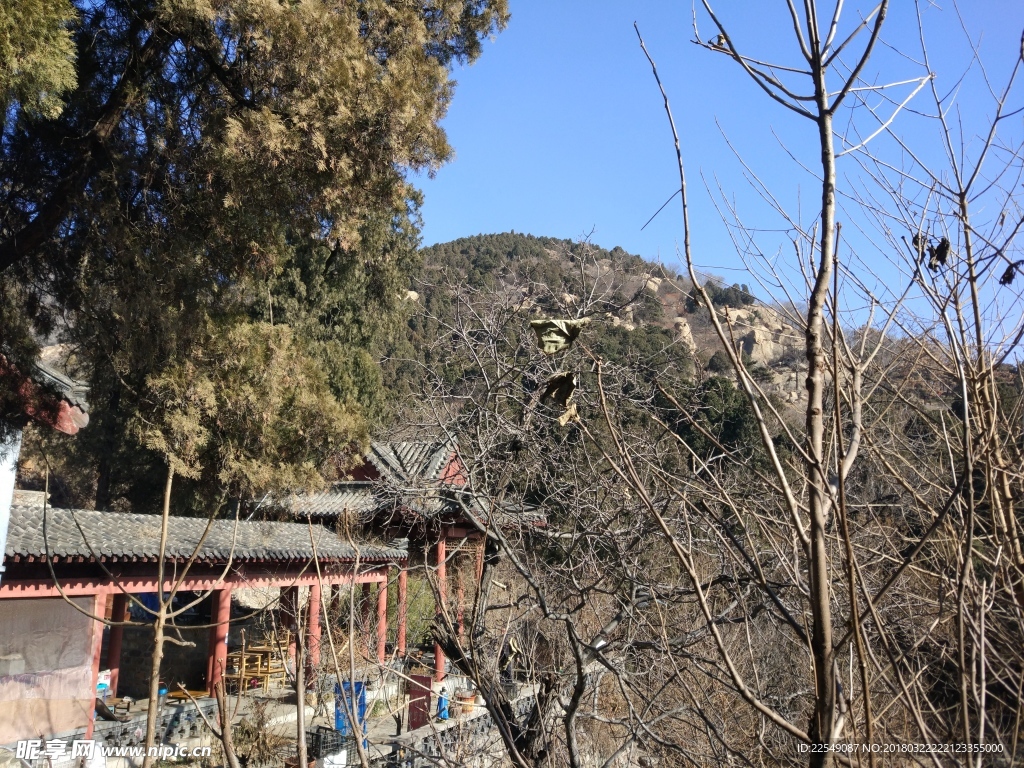 泰山风景