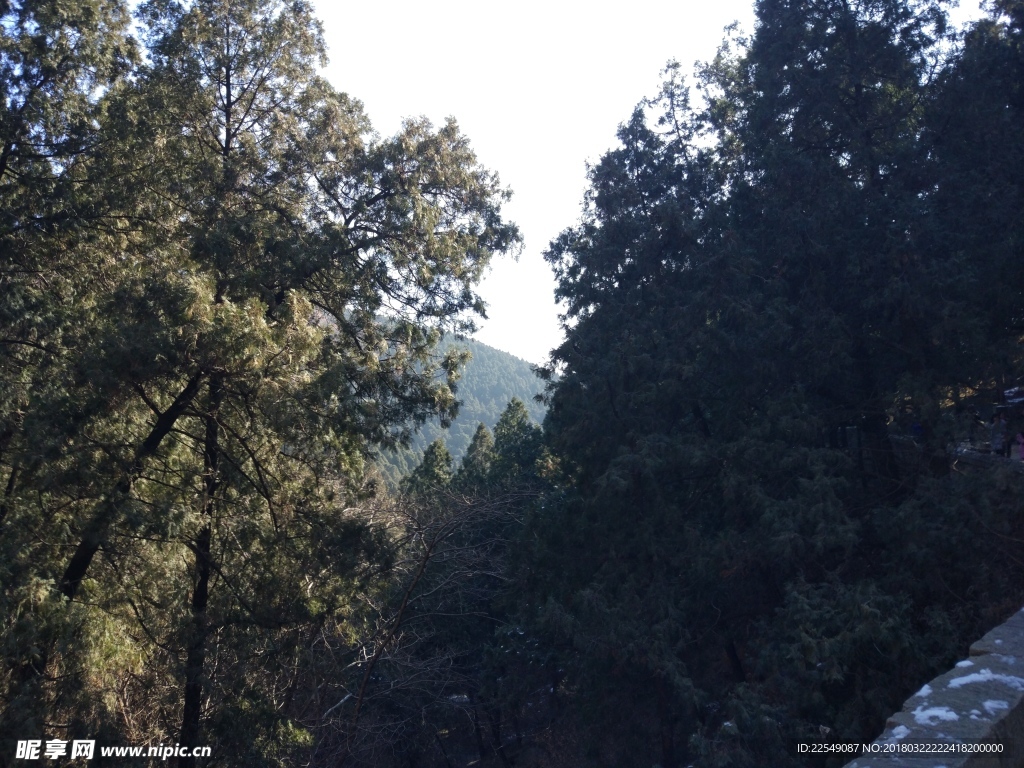 泰山风景