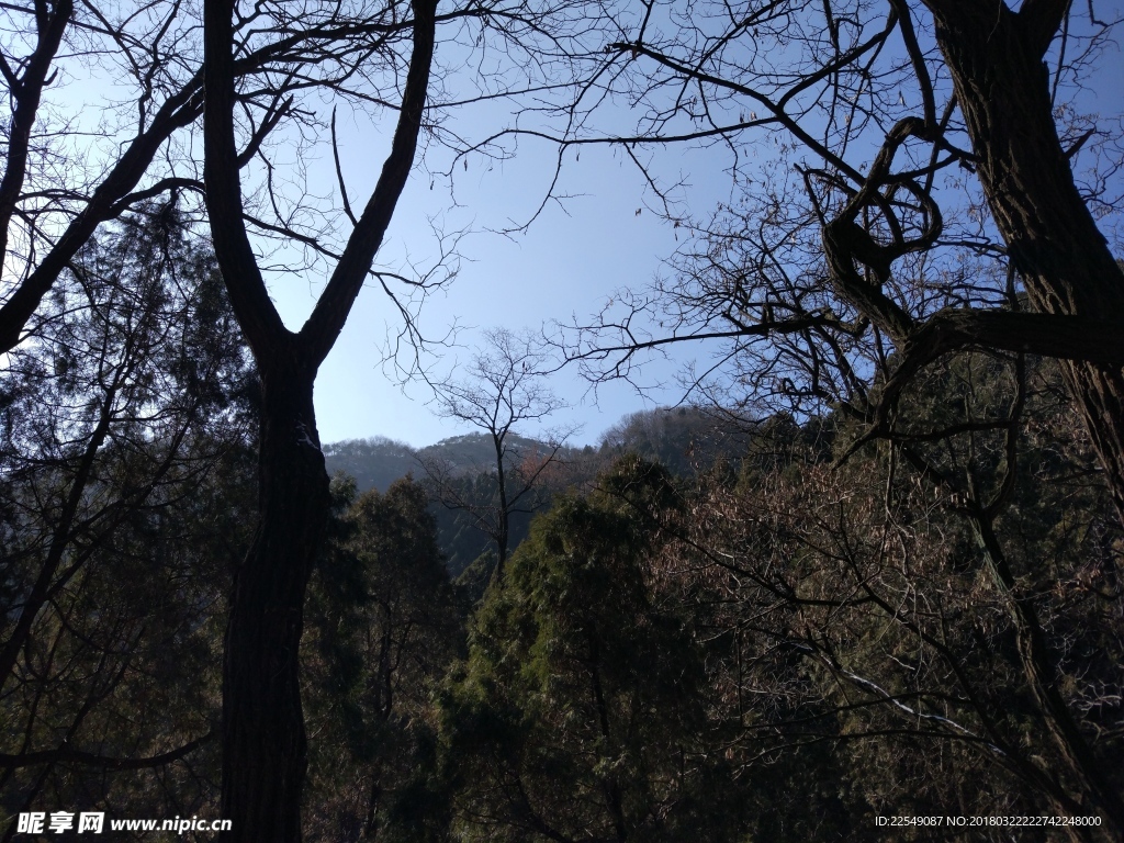 泰山风景