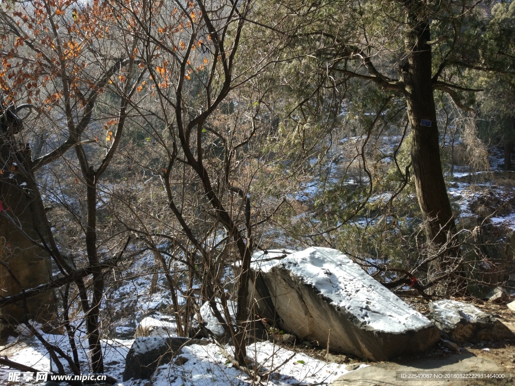 泰山风景