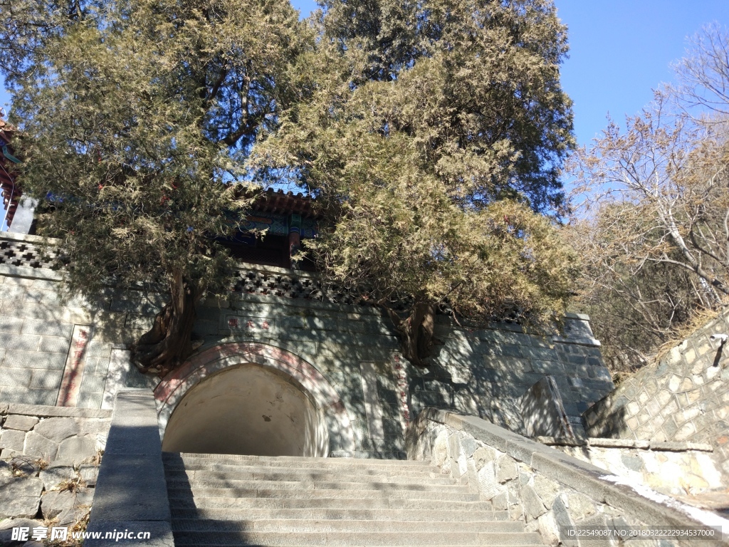 泰山风景