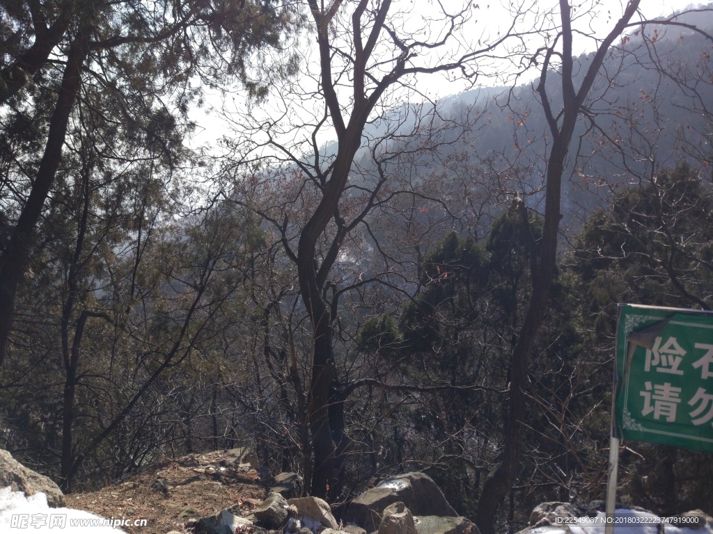 泰山风景