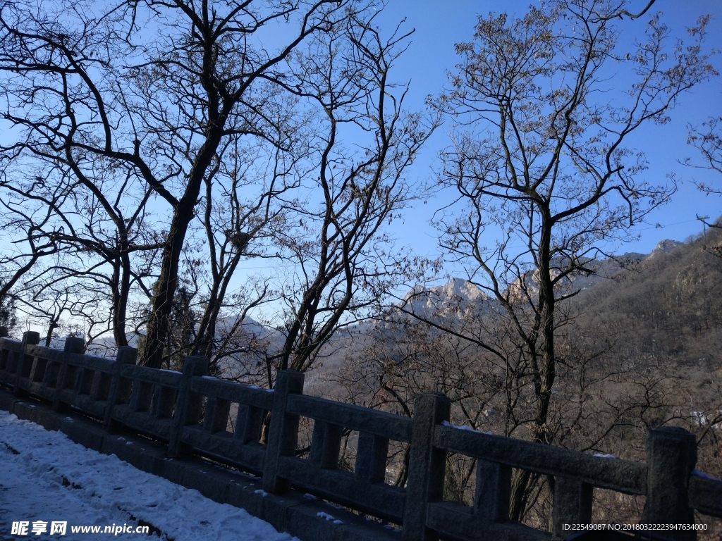 泰山风景