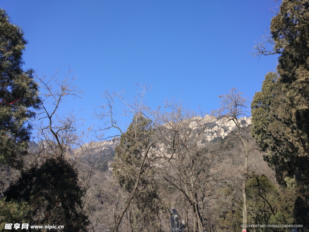 泰山风景