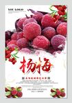 杨梅