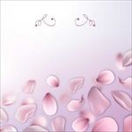 矢量花瓣