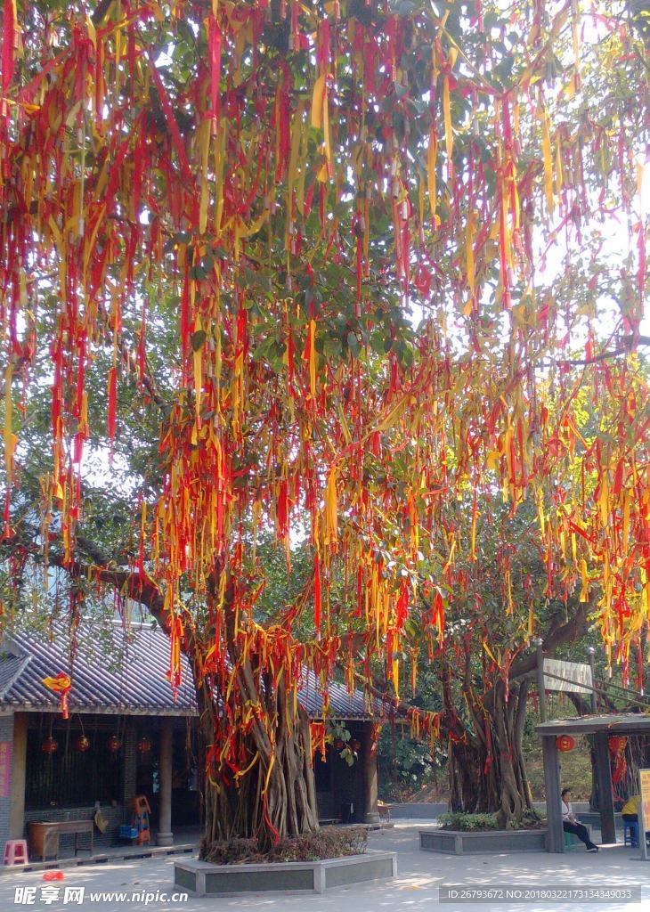 许愿树