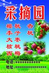 采摘园