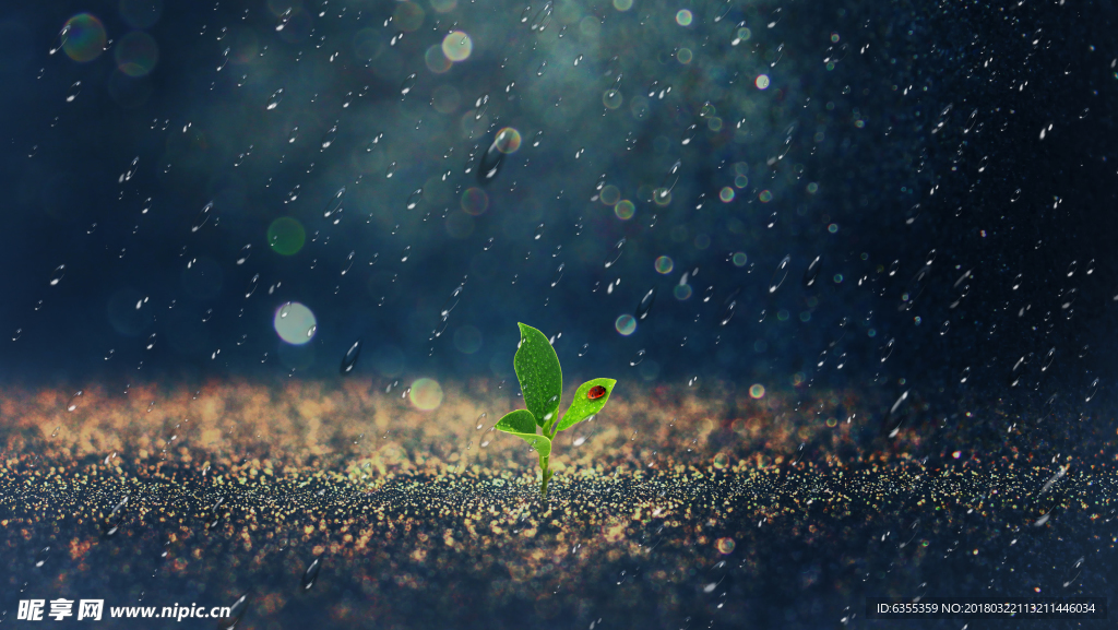 雨水