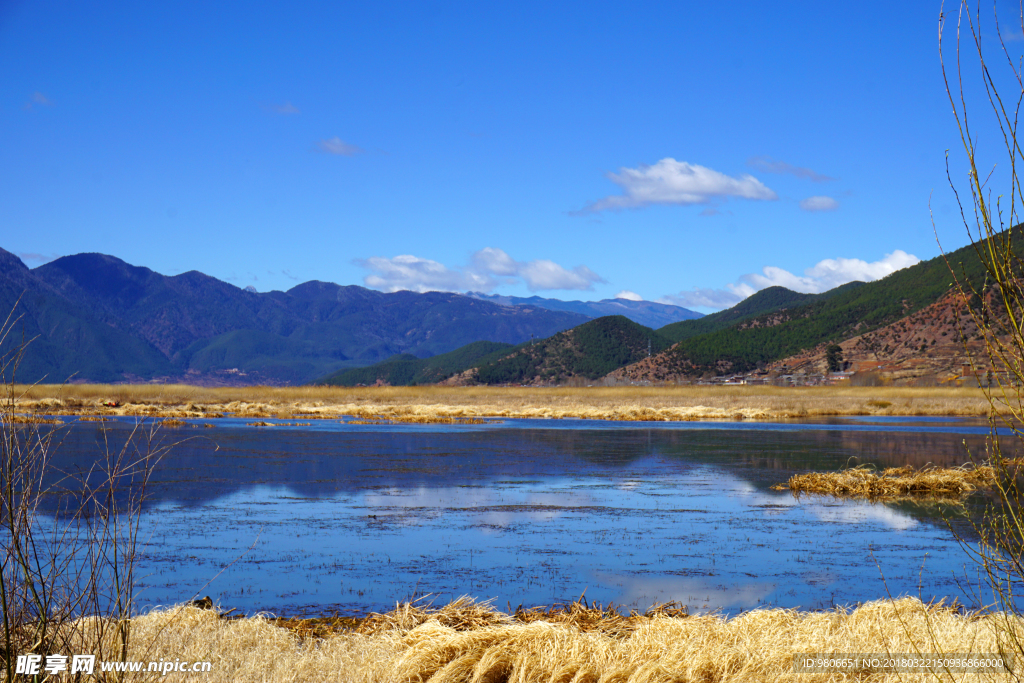 泸沽湖 草海