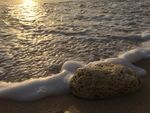 浪花