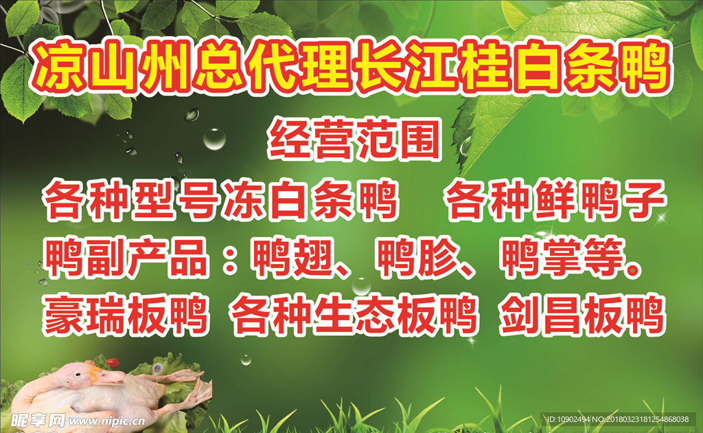 白条鸭鸭子广告