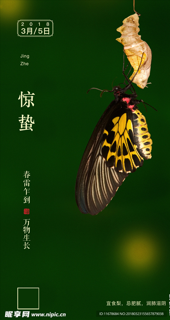 惊蛰