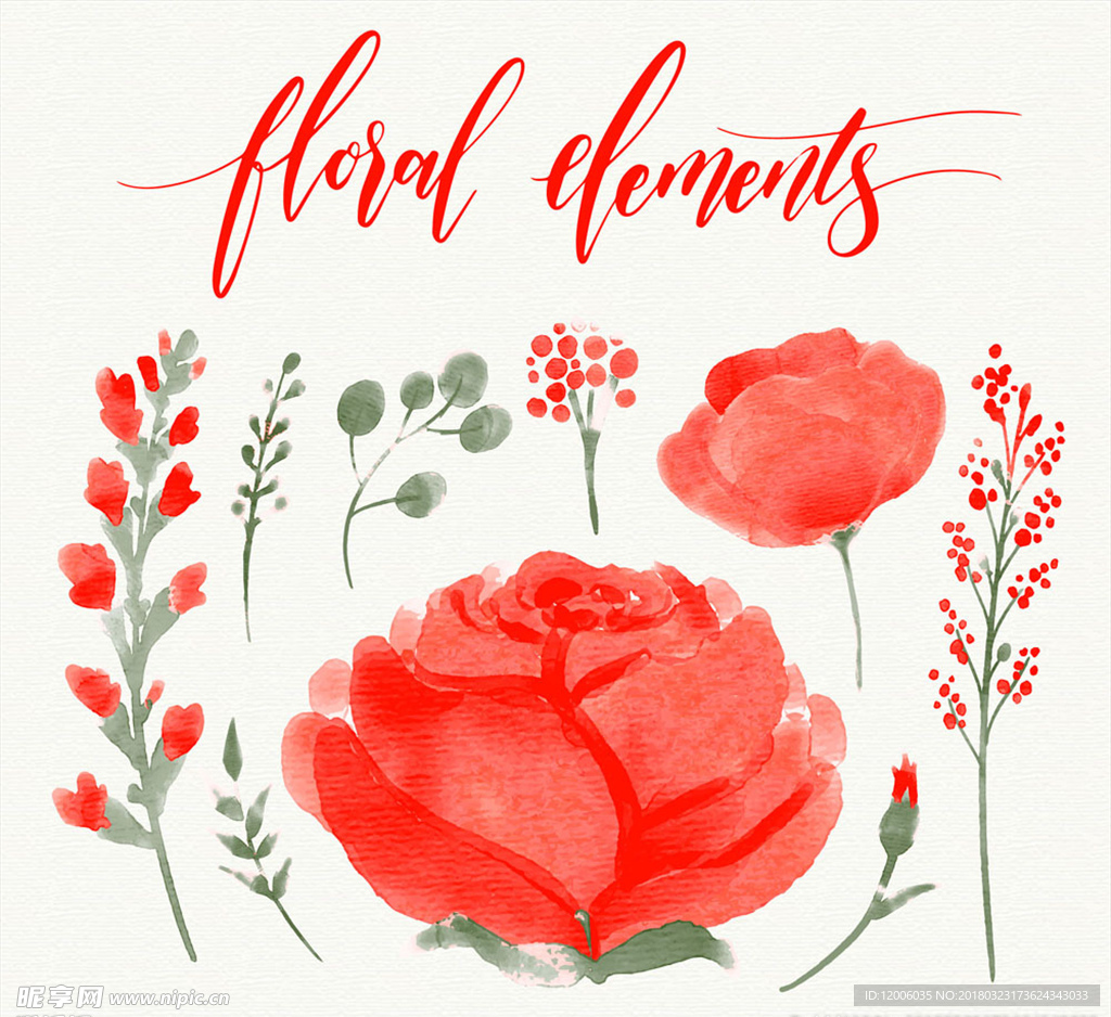 12款水彩绘红色玫瑰花卉和树叶
