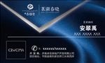 高档名片