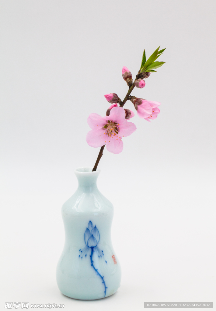 花卉桃花