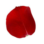 花瓣