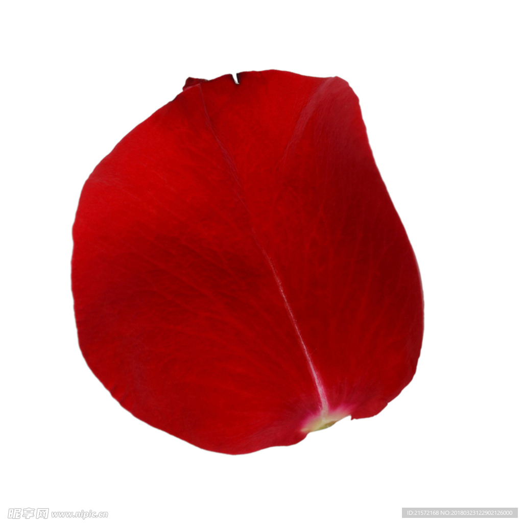 花瓣