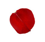 花瓣