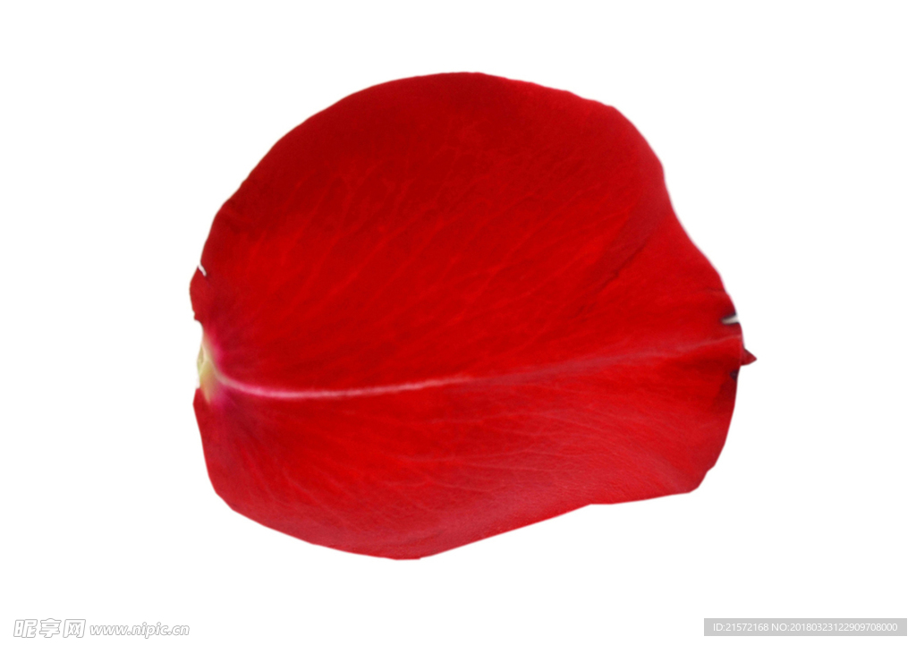 花瓣
