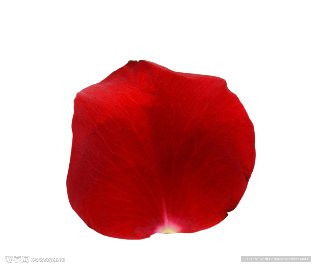 花瓣