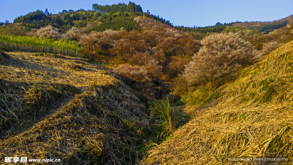 山沟