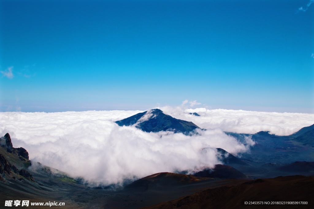 高山白云