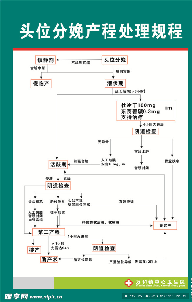 头位分娩产程处理规程