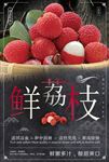 荔枝海报
