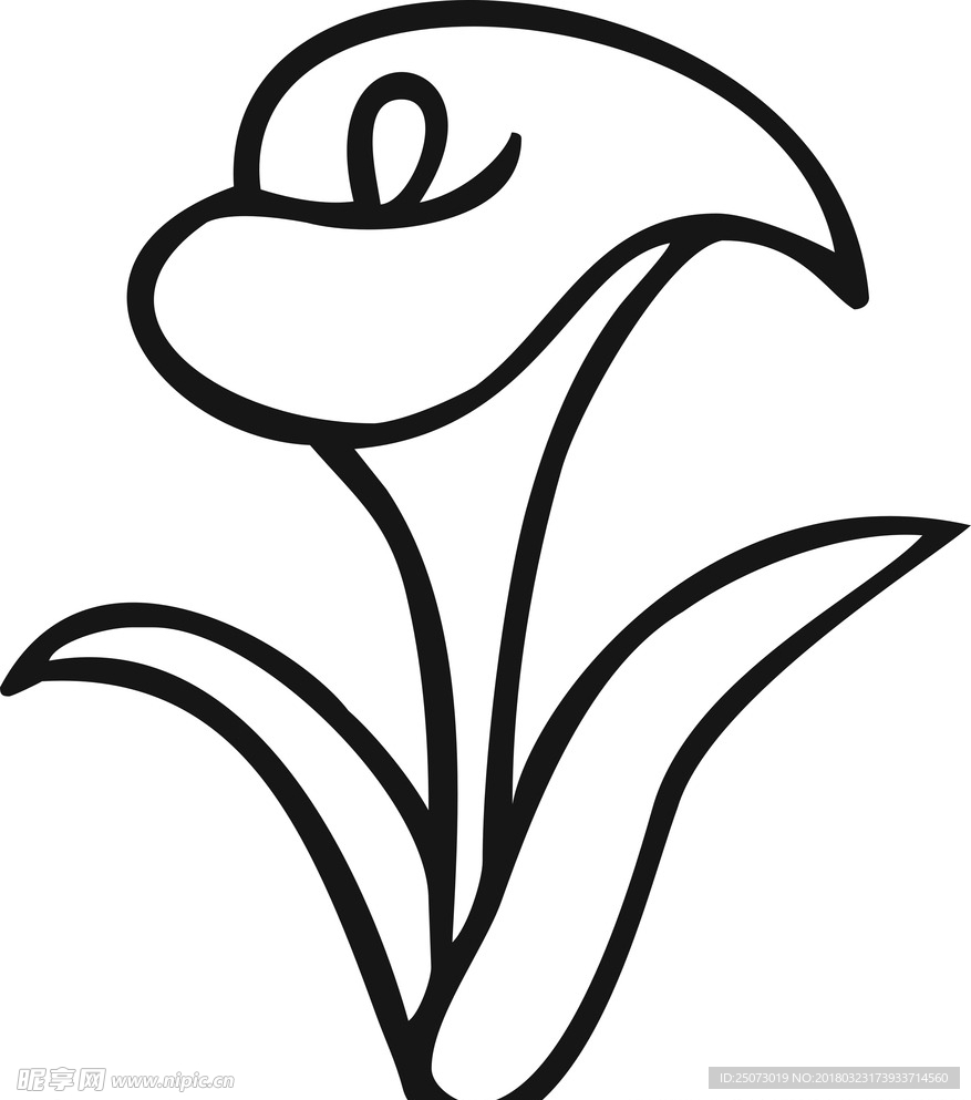 马蹄莲花简笔画简单画法