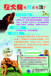 狂犬病可防不可治