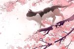 手绘樱花