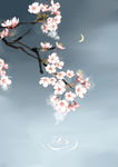 手绘樱花