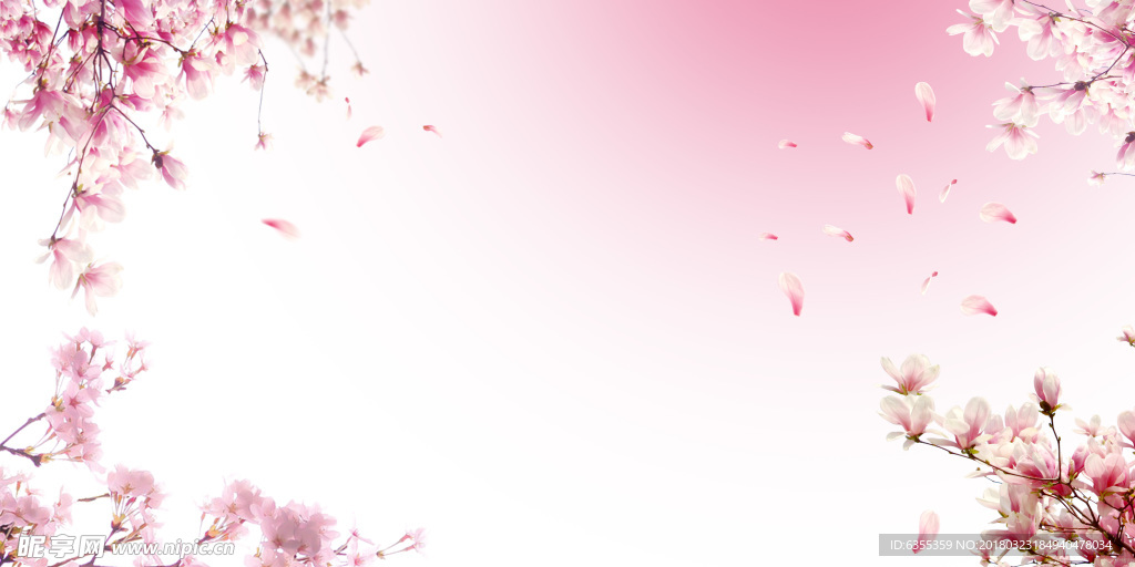 粉色樱花