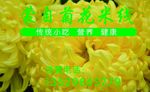 蒙自菊花米线名片