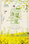 简约清新油菜花海报