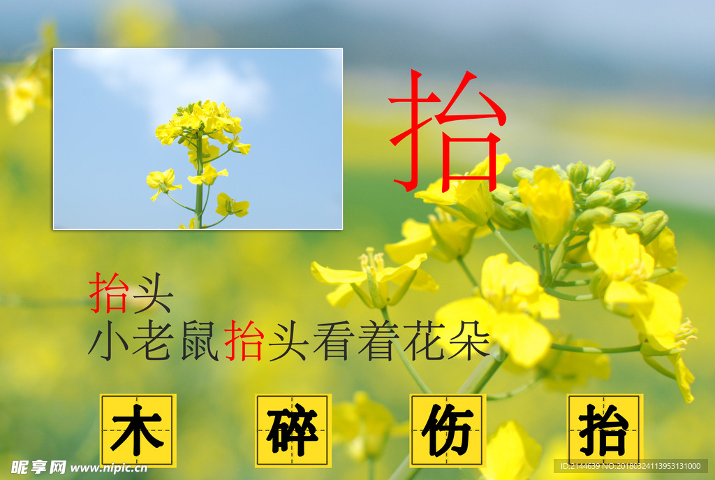 字卡设计