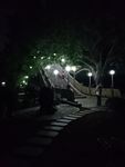 公园夜景