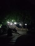 公园夜景