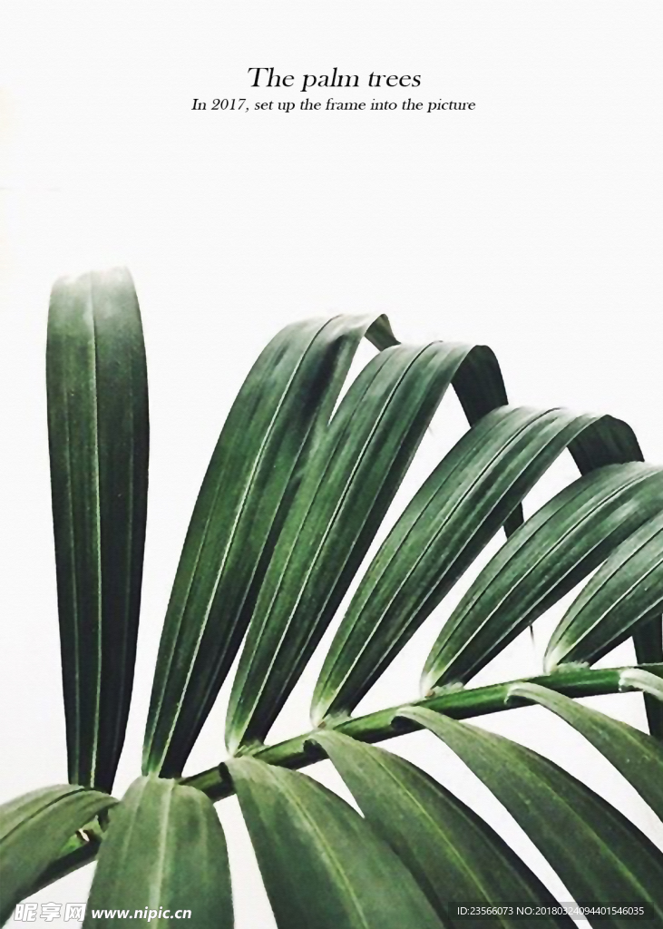 北欧小清新客厅植物画
