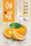 橙子海报