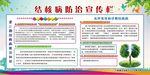 结核病宣传栏二