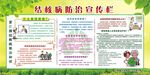 结核病宣传栏三