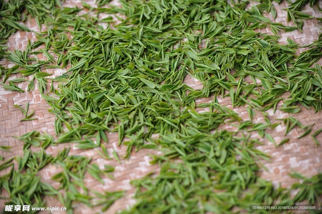 茶叶