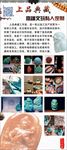 玉器古玩展架