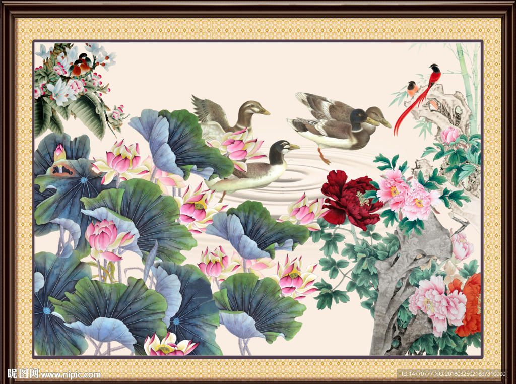 荷花图